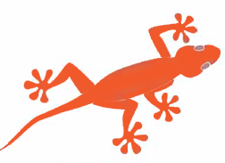Gecko