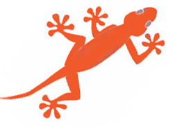 Gecko