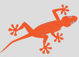 Gecko